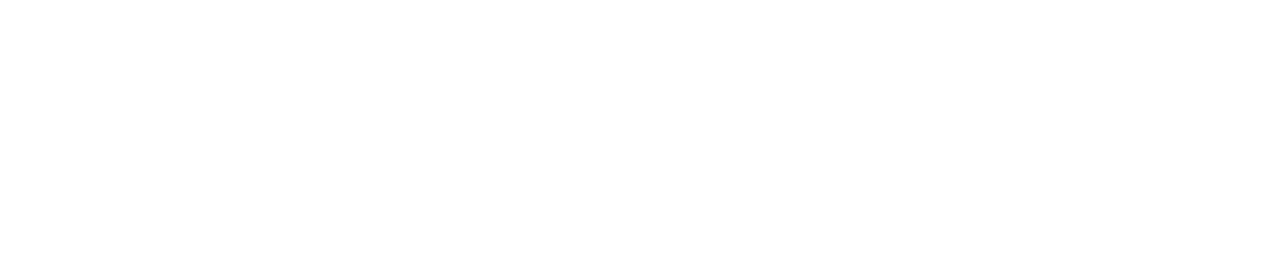 Logo Guido Hossmann Gips Thusis